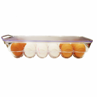 Eierbehälter Eierbox Kühlschrankeiereinsatz mit Deckel für 12 Eier, BPA freier Kunststoff, ca. 32.5 x 11.5 x 7.5 cm, farblos durchsichtig