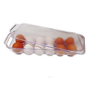 Eierbehälter Eierbox Kühlschrankeiereinsatz mit Deckel für 12 Eier, BPA freier Kunststoff, ca. 32.5 x 11.5 x 7.5 cm, farblos durchsichtig