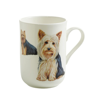 Pets Dog Becher Yorkshire Terrier GB